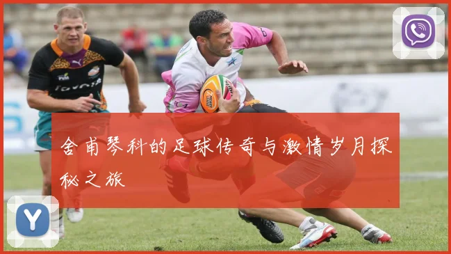 舍甫琴科的足球传奇与激情岁月探秘之旅