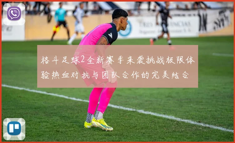格斗足球2全新赛季来袭挑战极限体验热血对抗与团队合作的完美结合