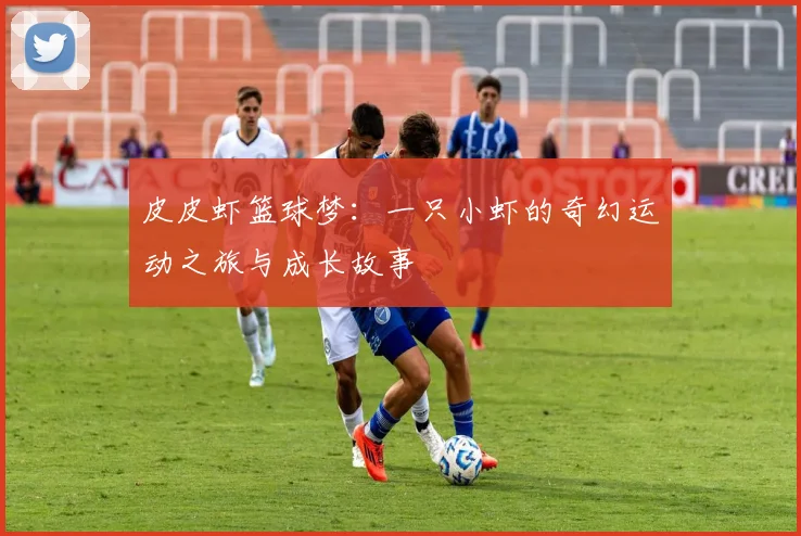 皮皮虾篮球梦：一只小虾的奇幻运动之旅与成长故事