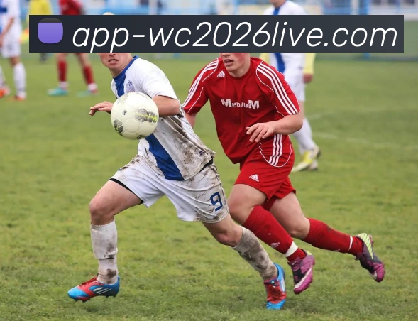 WORLD CUP 2026投注平台生态图